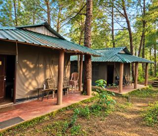 Pine Wood Cottage Jungle Resort - 8