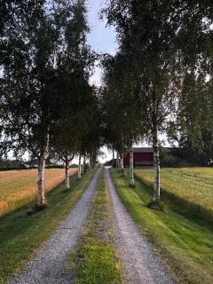 Fully furnished corporate housing for international project teams, engineers and contractors, Spacious single-family home with parking 6 minutes from Google Skien - 6