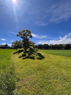 Fully furnished corporate housing for international project teams, engineers and contractors, Spacious single-family home with parking 6 minutes from Google Skien - 5