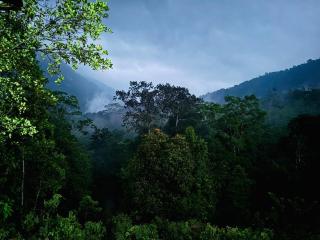 Misty Heights Endawala - 5
