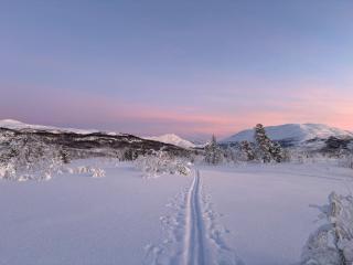 Cozy basement apartment in beautiful Mallangen - 7