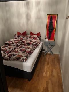 Cozy basement apartment in beautiful Mallangen - 3