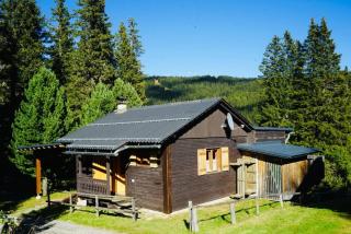 Pine & Peaks Alpine Lodge Lachtal 1650 m - 1