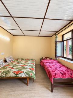 Snow Drop Homestay - 2