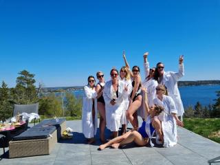 Archipelago villa, cabin & sauna jacuzzi with sea view, 30 minutes from Stockholm - 0