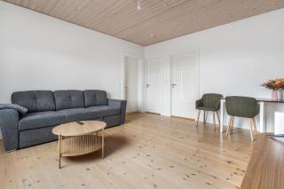 Skjern Apartments - 8