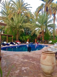 Ecolodge Bab el Oued - 2