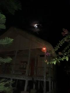 La maison de ananda - 6