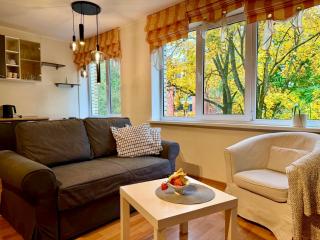Apartment for rent Druskininkai - 9