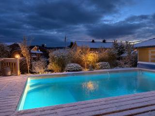 Pool & Sauna Retreat - Private Studio Apartment Porsgrunn - 0