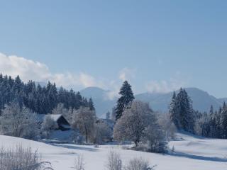 Ferienhaus - 6