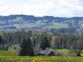 Ferienhaus - 3