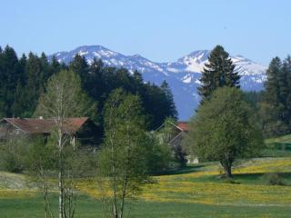 Ferienwohnung - 8