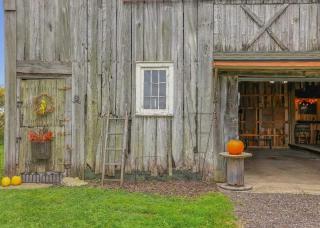 Three Fields Farmhouse -  - 4
