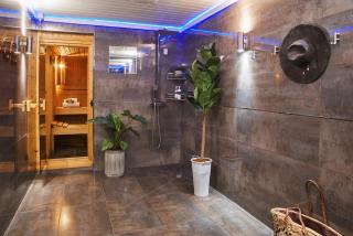 Swifts Return - Apartment with hot tub, sauna and indoor pool (Dartmoor) - 7