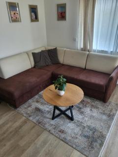 Appartements und Vinoteka DAVID - 1