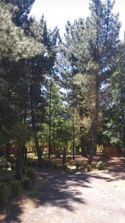 Cabaña condominio el bosque - Pucón - 1