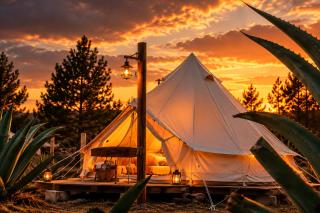 Glamping Octli - Santuario de las Luciernagas X NANTLI LIVING - 5