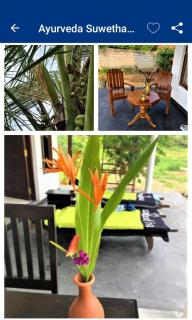 Suwetha villa Ayurveda Resort - 4
