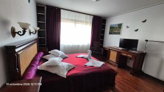 Pensiunea TV Condor - 2