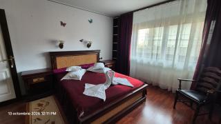 Pensiunea TV Condor - 8
