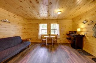 Fish, Slide & Unwind: Letchworth Valley Cabin! - 4