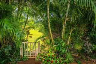 F-69 North Shore Oasis - 4