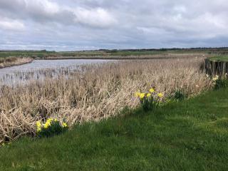 6 person holiday home in Ringkøbing - 9