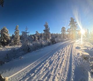 Hytte Designet Av Snøhetta - Natur, Ski & Luksus! - 1