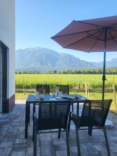 Appartements und Vinoteka DAVID - 7