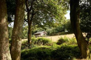 Kingfisher Cabin, Butterwell Farm, Riverside cabin on 40-acre private estate - 9