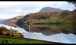 Willies Cottage - 9