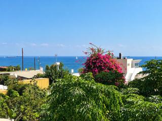 Budjet Beachside Apartment - 8