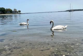 Captains Quarters Waterfront Stay Near Newport - 6