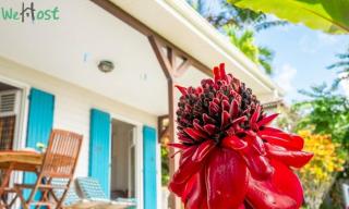 Rose de Porcelaine - Charming Creole house - 5