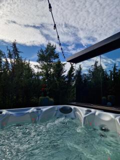 Juniper Minivillad jacuzzi ja saunaga - 8