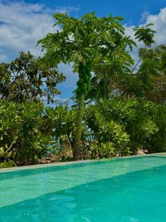 Nakupenda - 1BR Apartment in Fumba, Pool & Terrace - 8