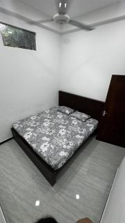 Farah Nest - 2