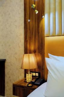The Neelams Hotel New Delhi city centre couple friendly family - 9