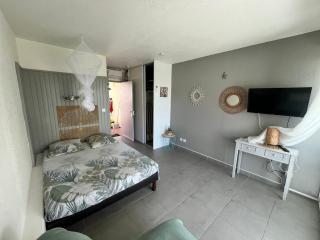 studio hibiscus - Saint-François - 3