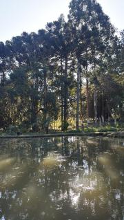 Que tal alugar uma casa com lago - 6