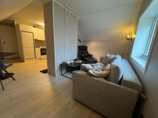 Nice loft apartment in the city center - 0