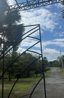 Finca amanecer - 4