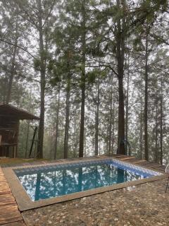 Los Pinos EcoHotel - 6