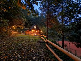 Hidden RAI - Forest Retreat,Hot Tub ,Sauna - 9