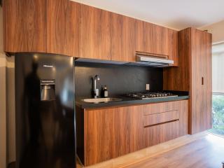Polanco 1BR on Newton with 2 Queen Beds and Elevator - 7