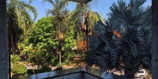 913 Sul, próxima ao parque, setor Policial e ENAP. - 9