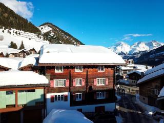 Mountain Homestay - 0