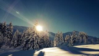 Mountain Homestay - 9