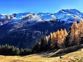 Mountain Homestay - 2